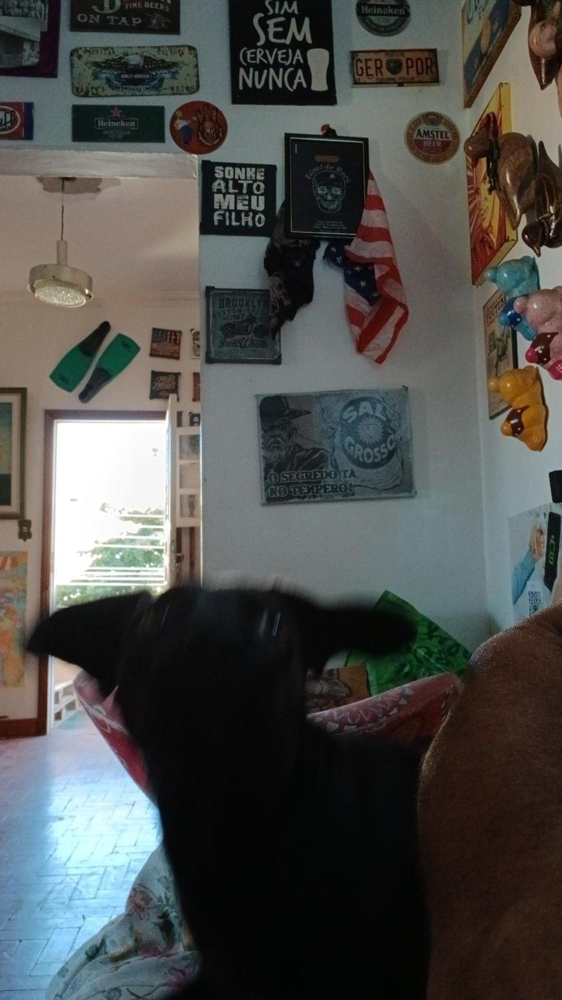 Hostel Jabuticaba Belo Horizonte Zewnętrze zdjęcie